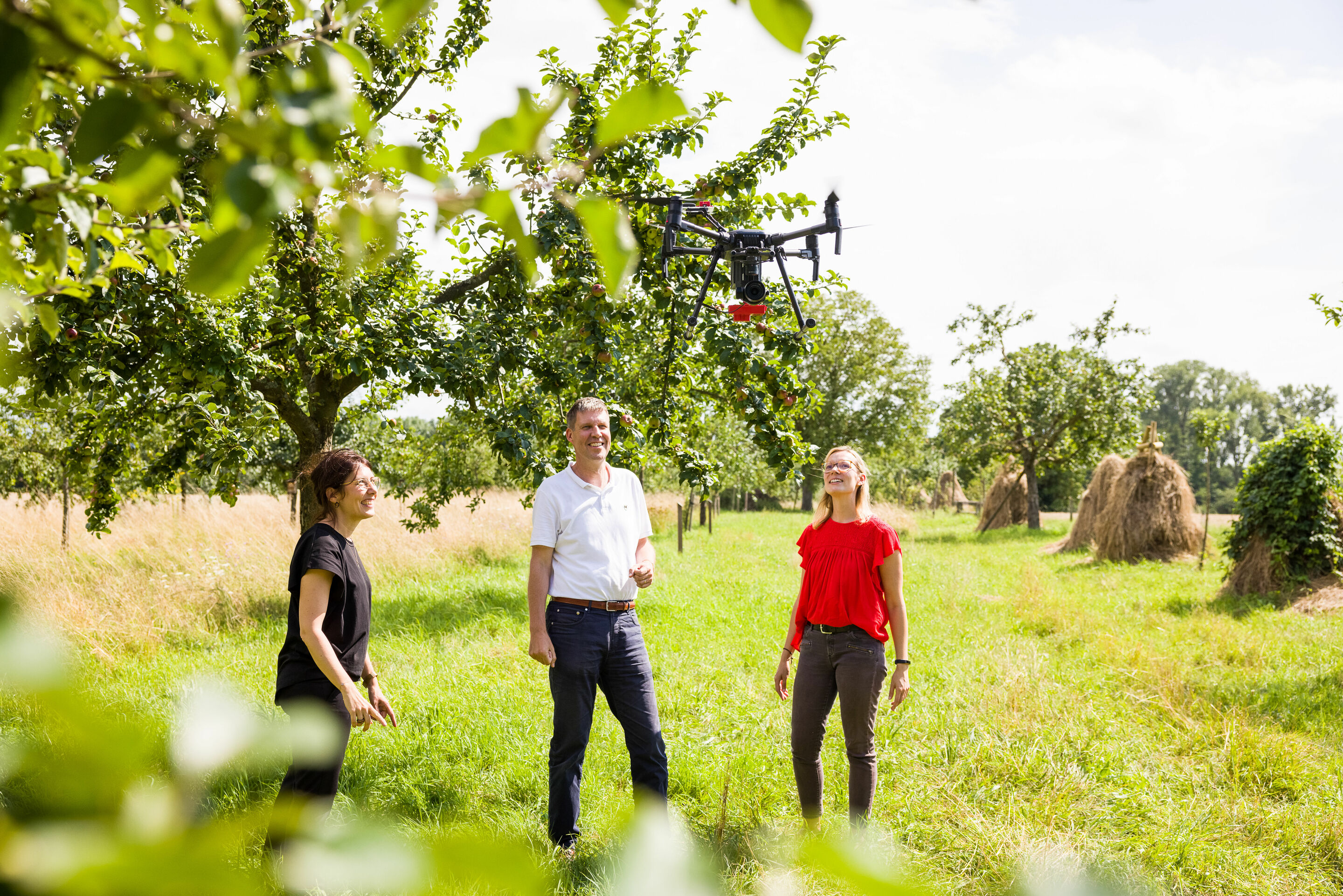 Drones for environmental protection: Successful monitoring of fruit tree orchard stocks