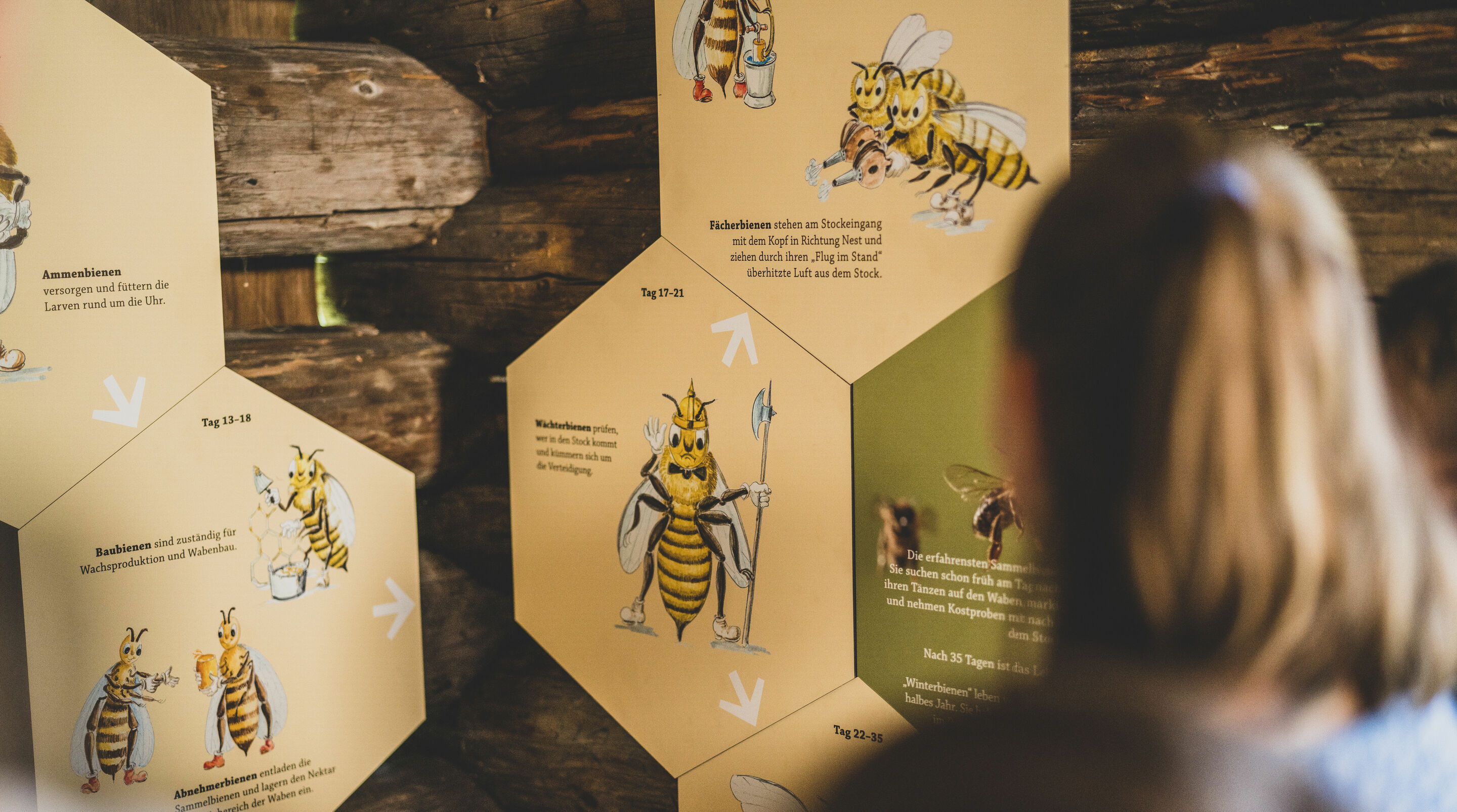 Beekeeping over the course of time: journey of exploration with Pauline the Bee in the Markus Wasmeier Museum