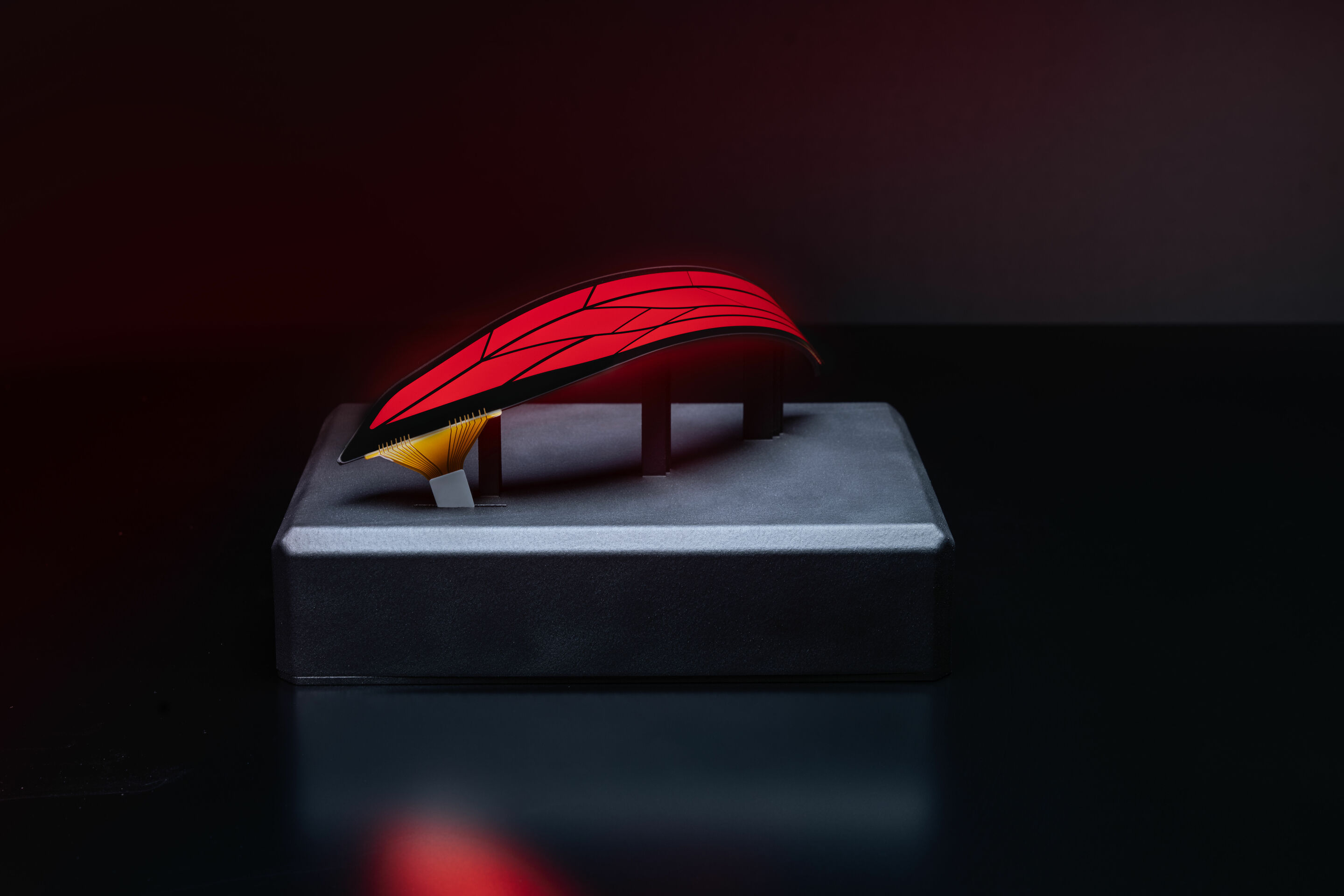 TechDay Digital Light - Zukunftsausblick flexible digitale OLED