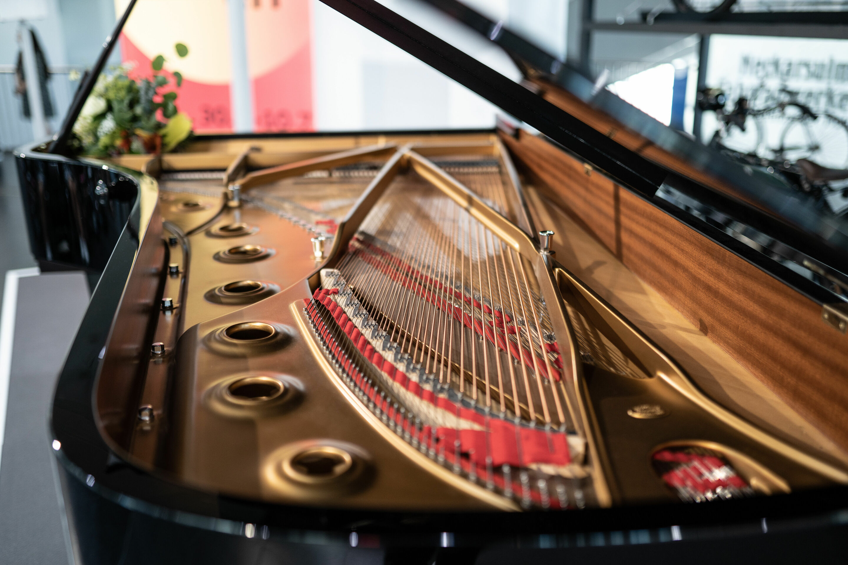 Audi Sommerkonzerte 2022 - A phenomenon of the century
Tsotne Zedginidze