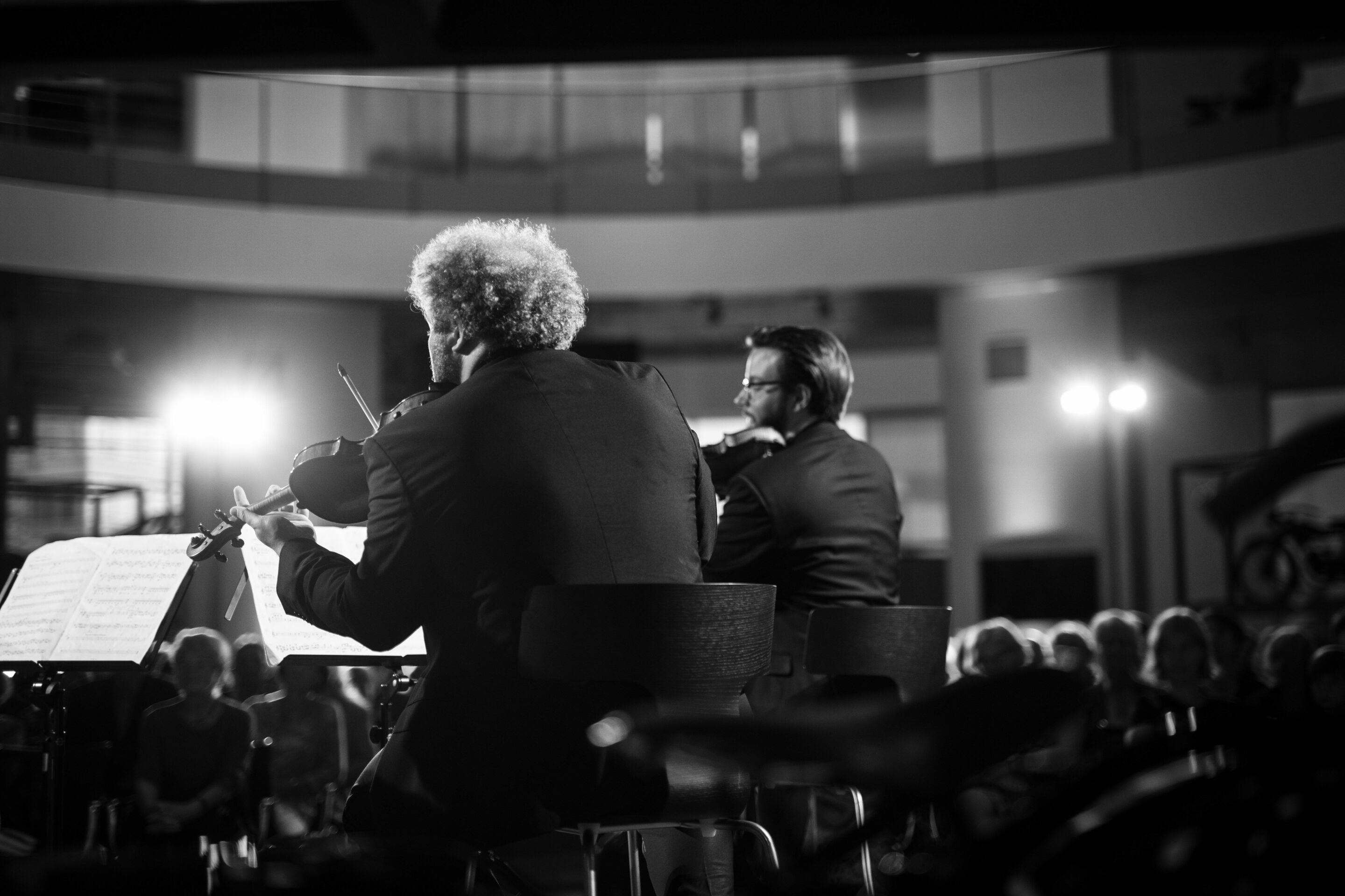 Audi Sommerkonzerte 2022 - Stradivari-Legenden
Goldmund Quartett:
Florian Schötz (Violine)
Pinchas Adt (Violine)
Christoph Vandory (Viola)
Raphael Paratore (Violoncello)