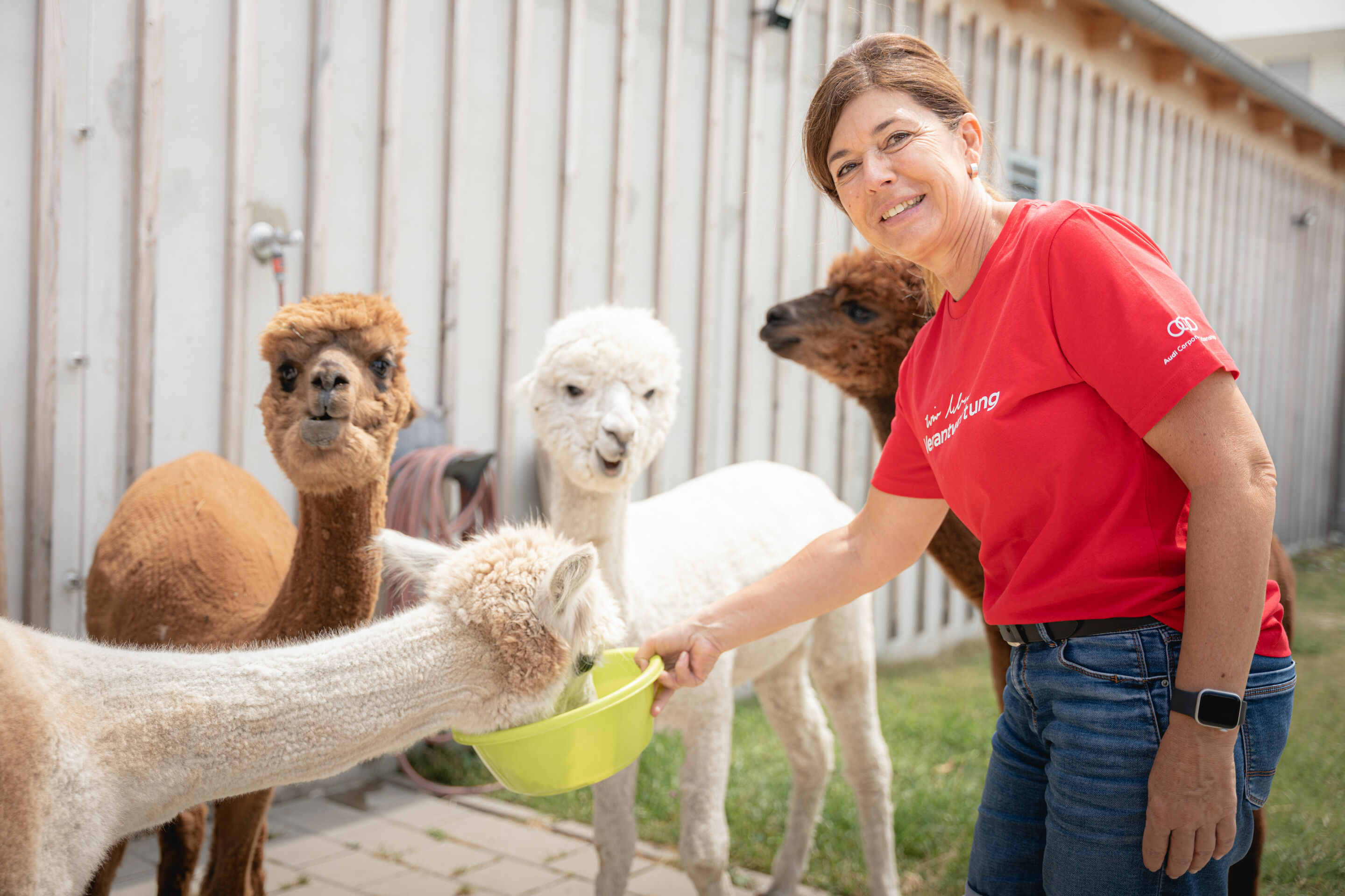Audi Social Day - Am 24. Juni 2023 sind Audianer_innen für verschiedene soziale Organisationen im Einsatz. Im Bild: Projekt „Palettenmöbel & Alpaka Wiese“ im Hollerhaus Münchsmünster.