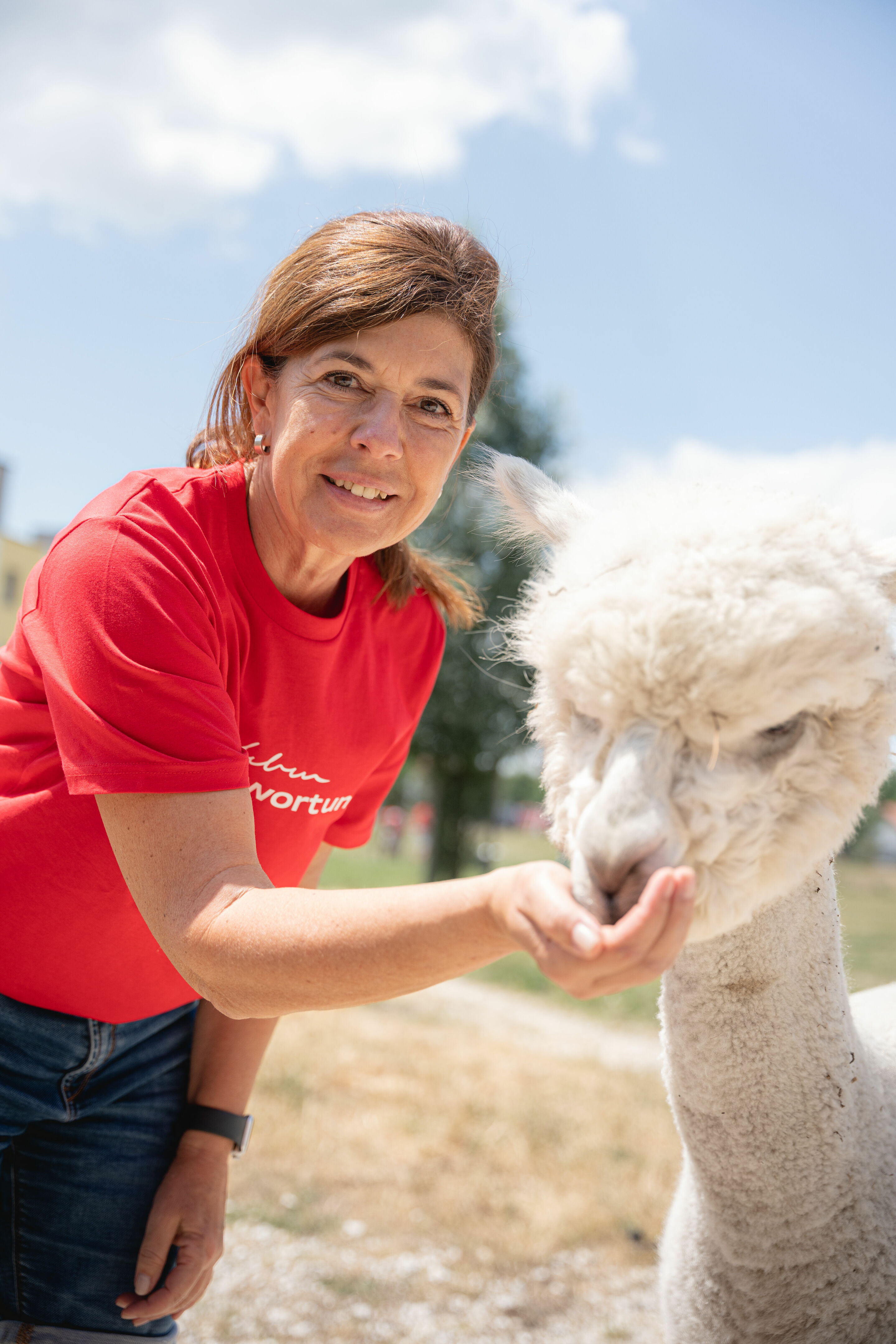 Audi Social Day - Am 24. Juni 2023 sind Audianer_innen für verschiedene soziale Organisationen im Einsatz. Im Bild: Projekt „Palettenmöbel & Alpaka Wiese“ im Hollerhaus Münchsmünster.