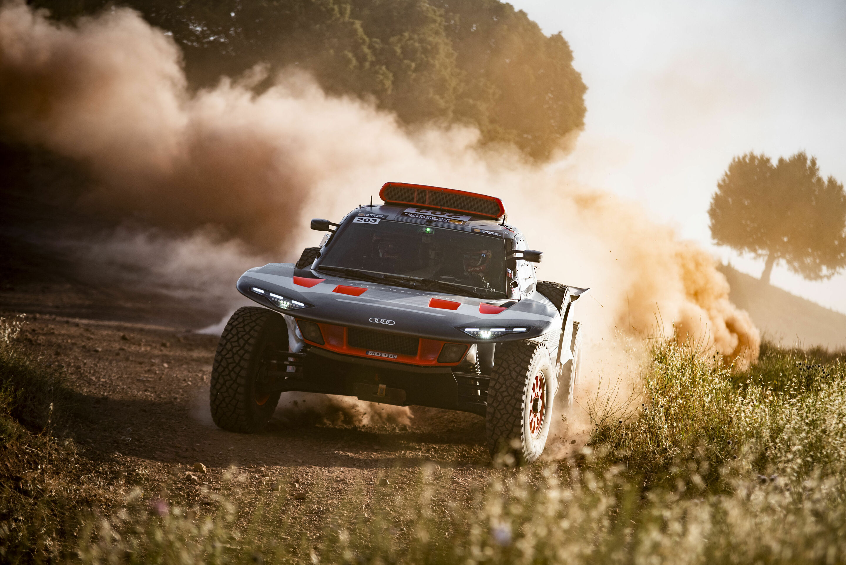 Baja España Aragón 2023 - Audi RS Q e-tron #203 (Team Audi Sport), Carlos Sainz/Lucas Cruz