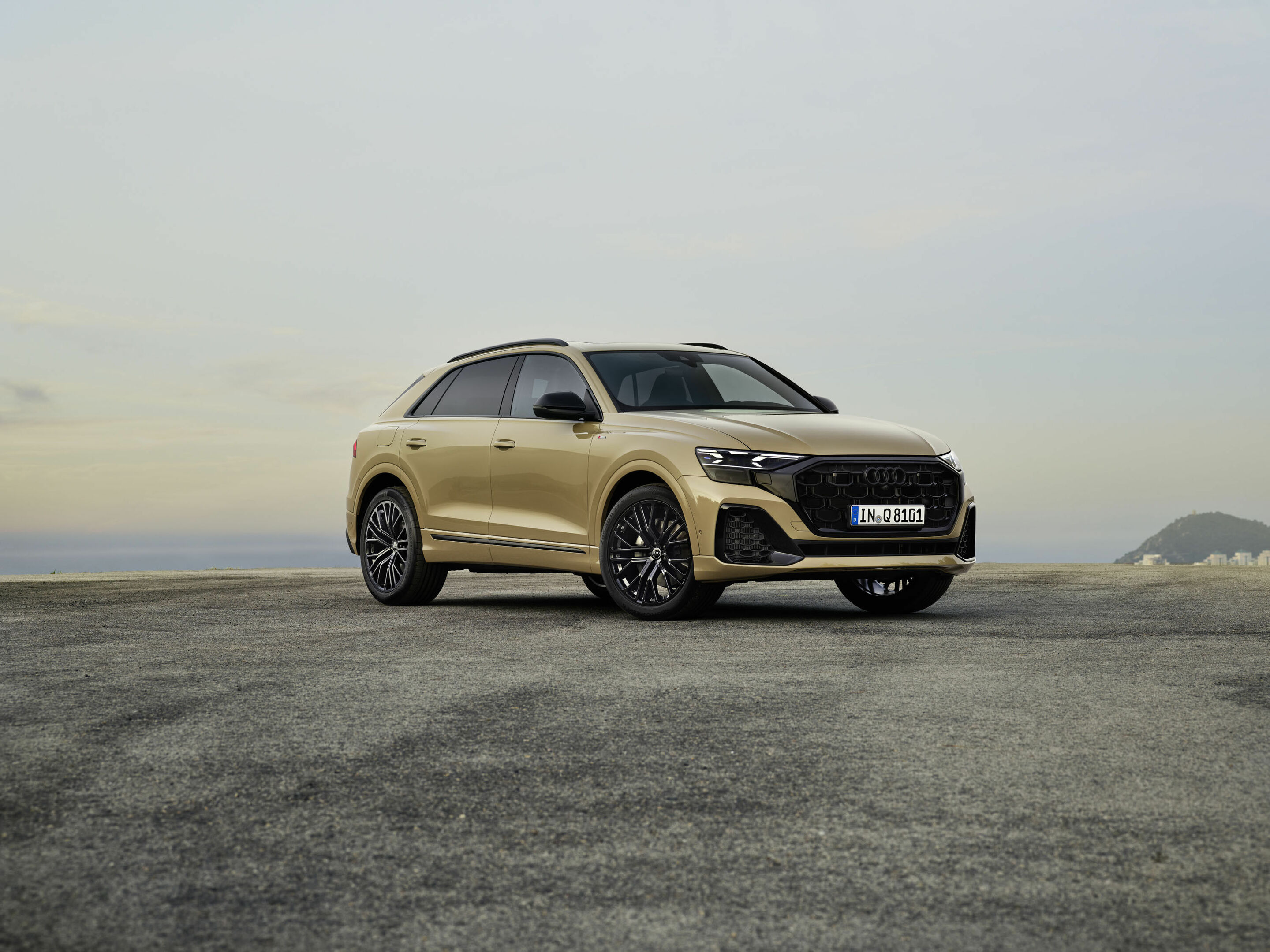 Audi Q8 - Standaufnahme, 
Farbe: Sakhirgold Metallic