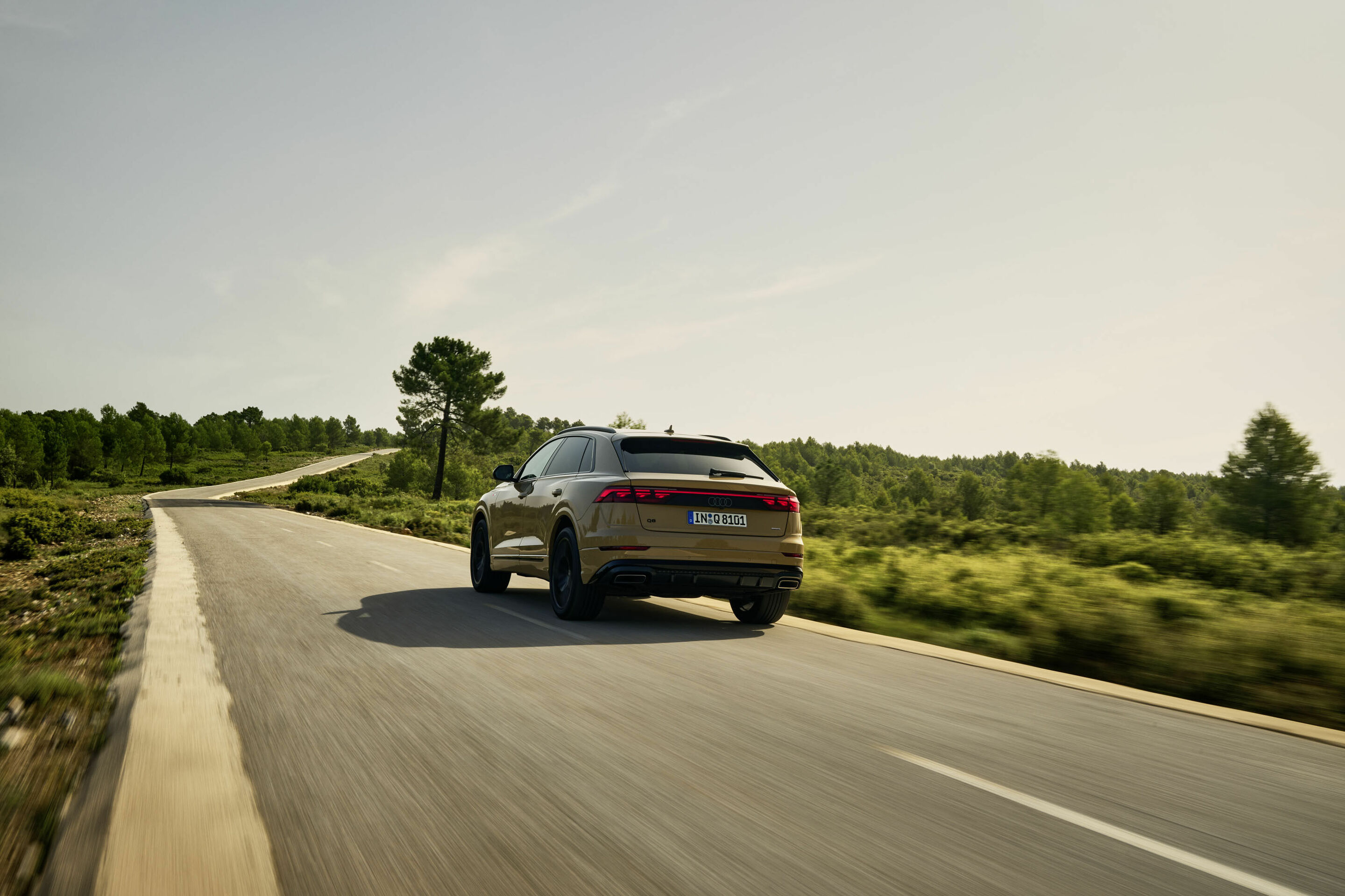 Audi Q8 - Dynamic photo,
Colour: Sakhir gold metallic