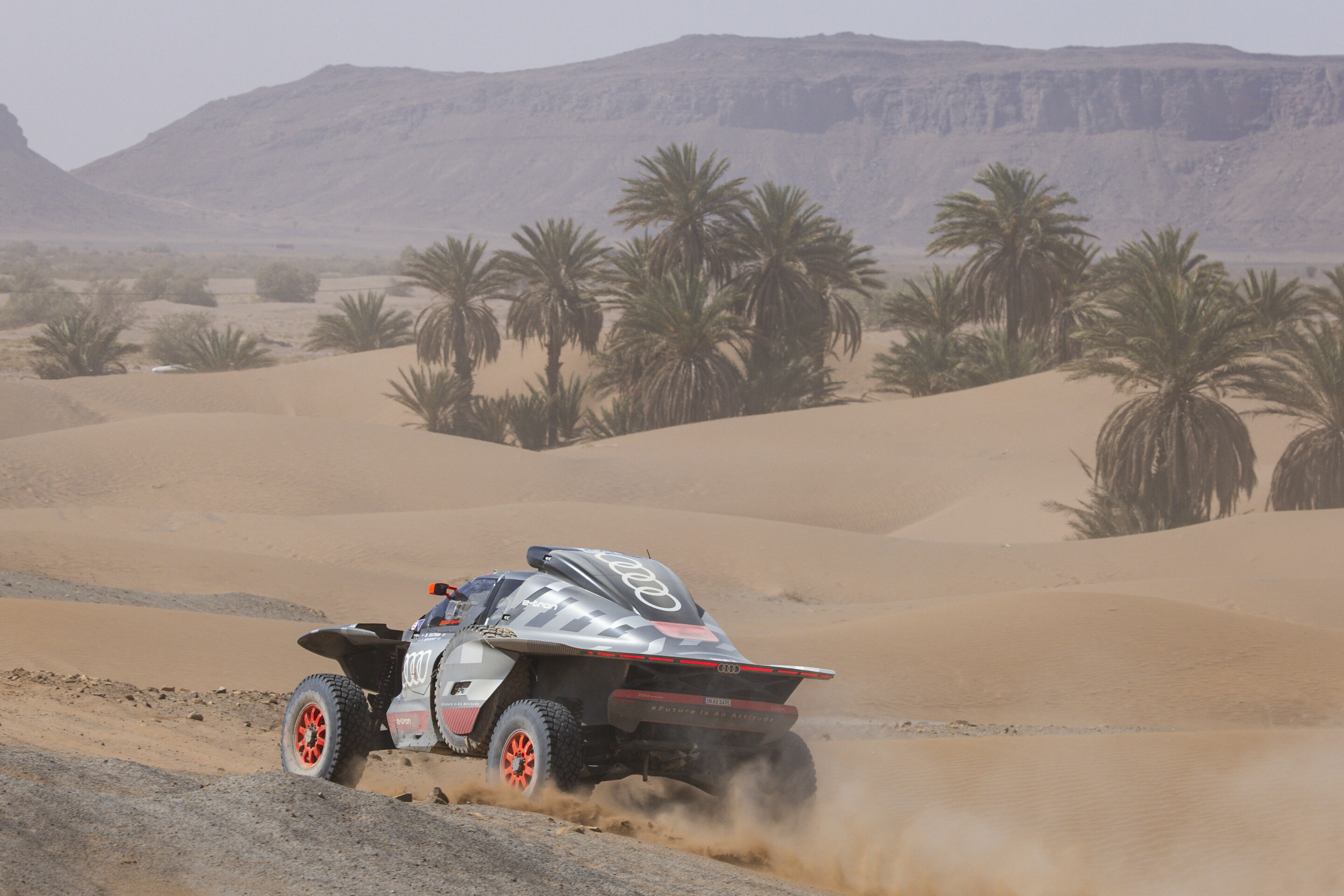 Rallye du Maroc 2023 - Audi RS Q e-tron #206 (Team Audi Sport), Mattias Ekström/Emil Bergkvist