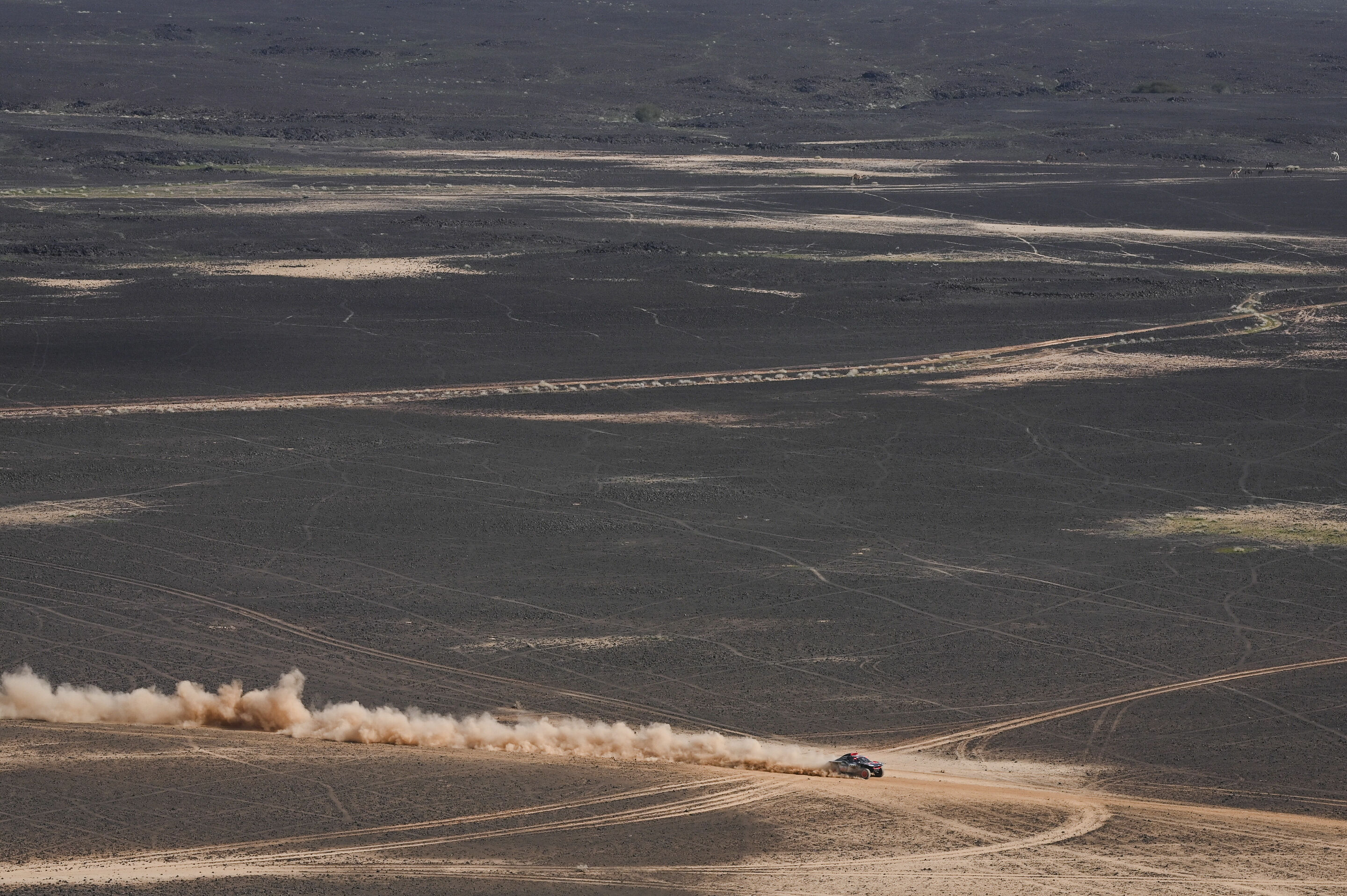 Dakar Rally 2024 - Audi RS Q e-tron #207 (Team Audi Sport), Mattias Ekström/Emil Bergkvist