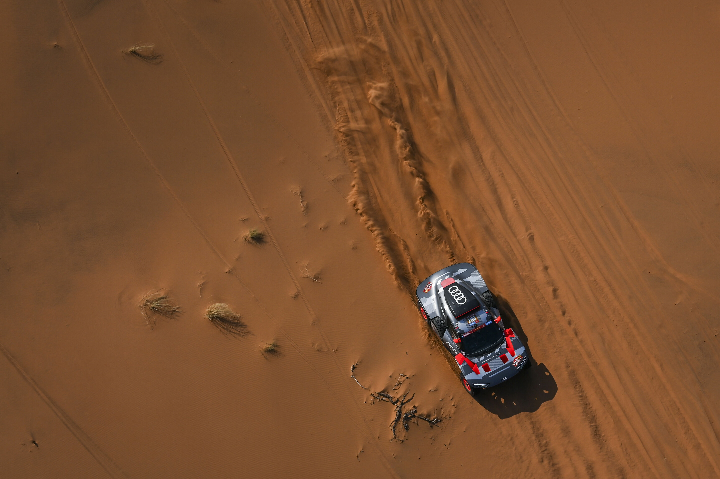 Dakar Rally 2024 - Audi RS Q e-tron #207 (Team Audi Sport), Mattias Ekström/Emil Bergkvist