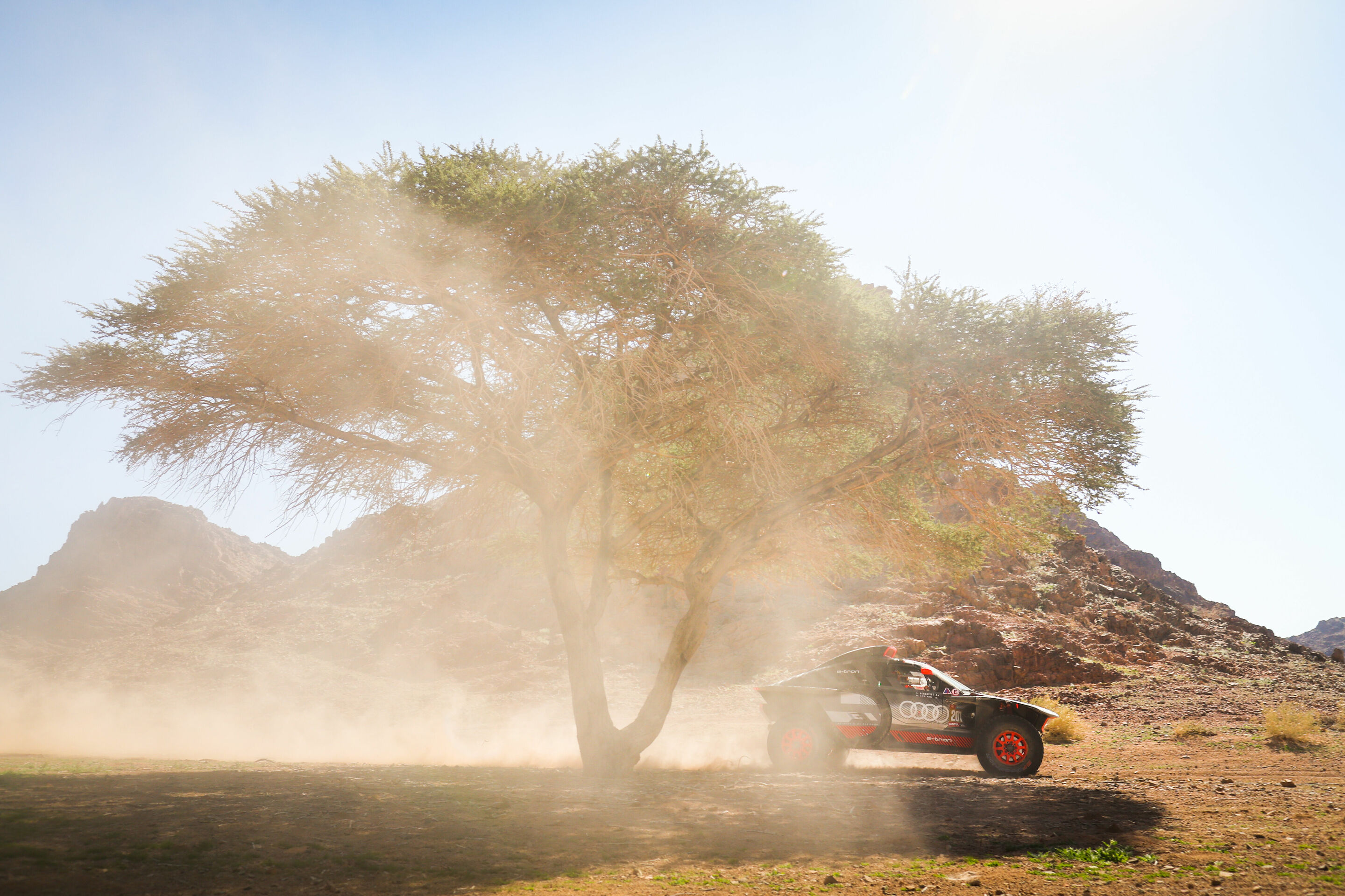 Dakar Rally 2024 - Audi RS Q e-tron #207 (Team Audi Sport), Mattias Ekström/Emil Bergkvist