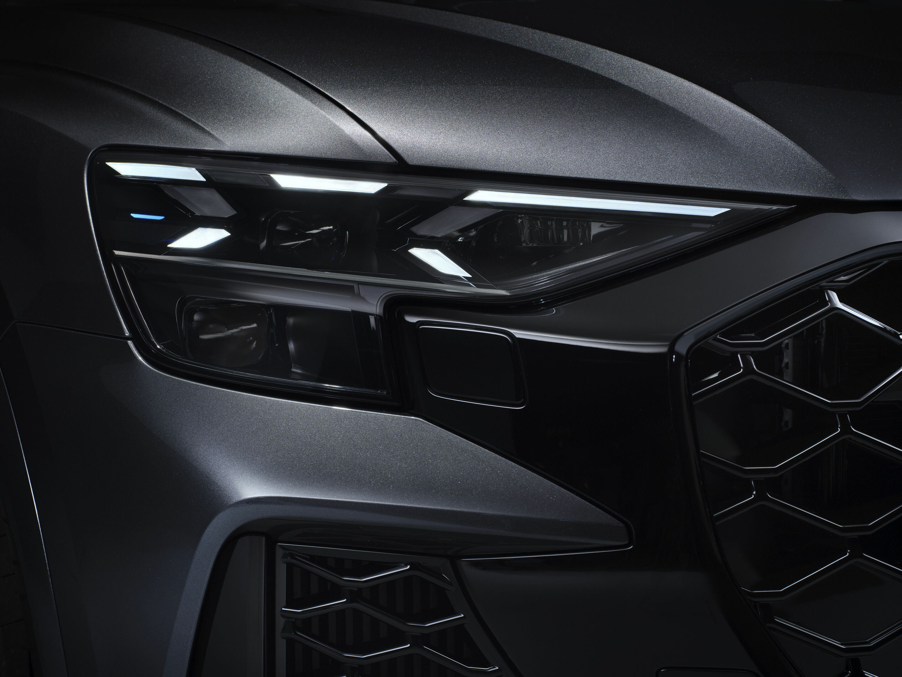 Audi RS Q8 - Detail,
Farbe: Daytonagrau Perleffekt