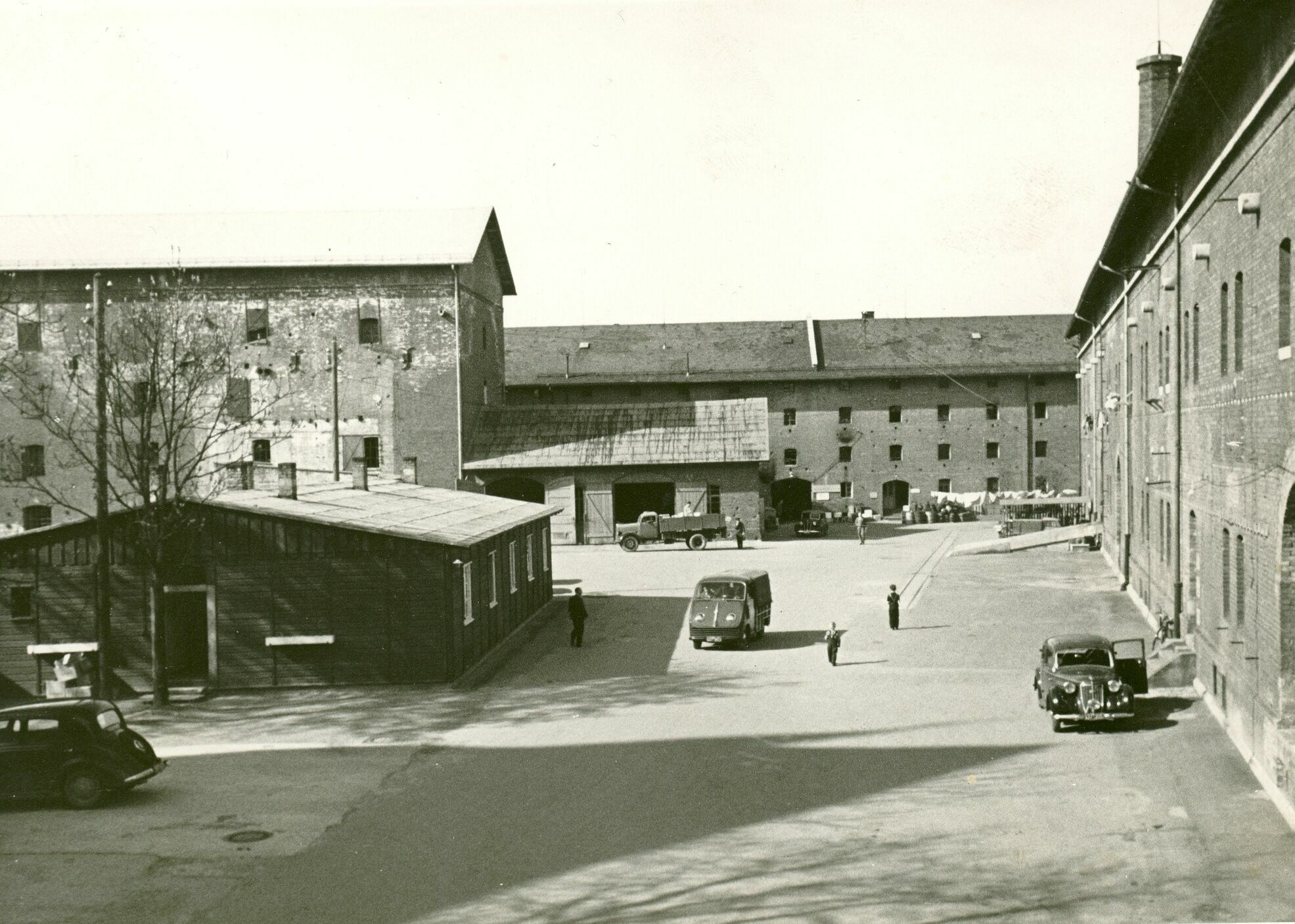 Neubeginn vor 75 Jahren