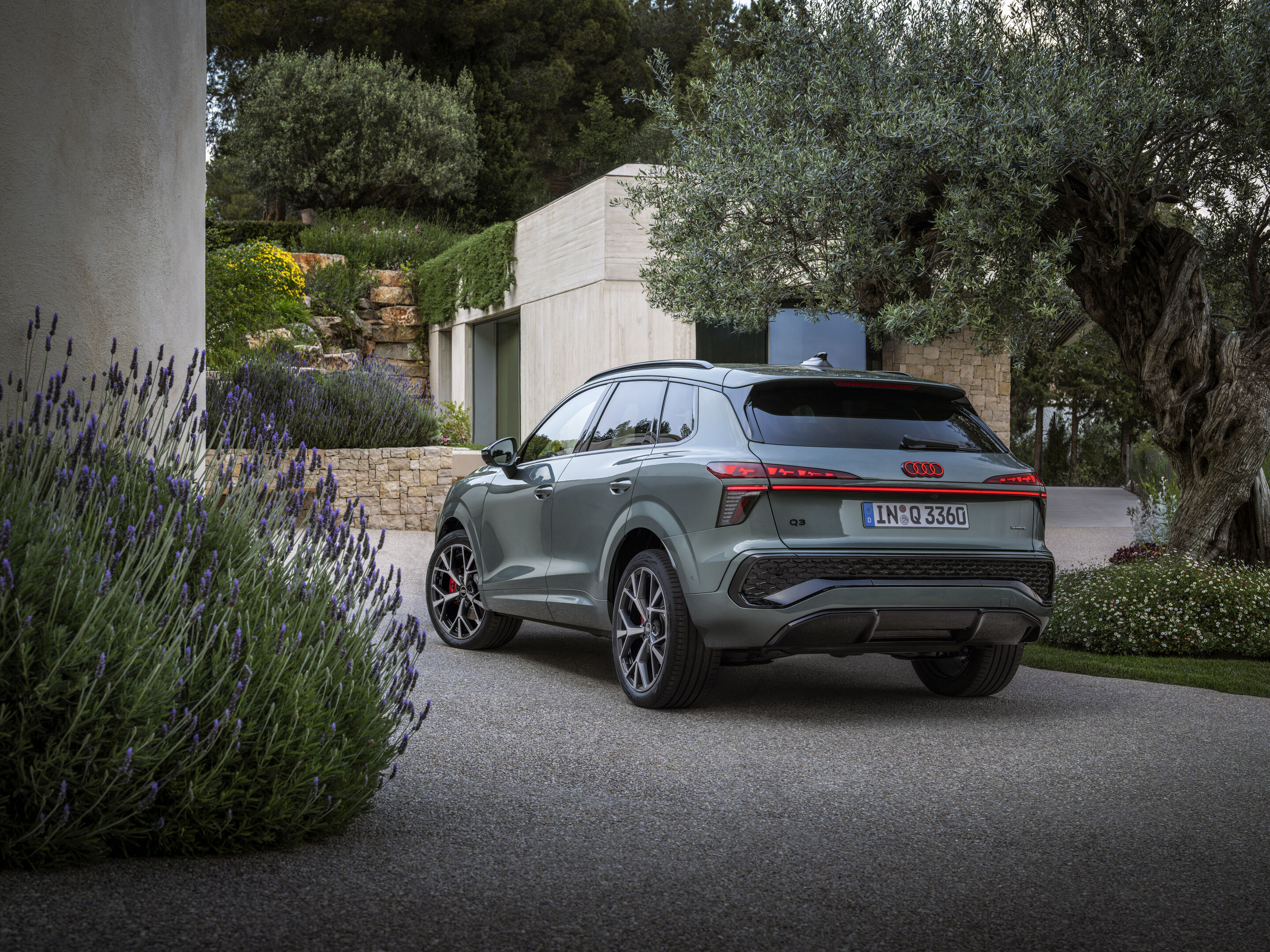 Audi Q3 SUV - Static photo (Logo illumination is only active while headlights are on low beam or high beam),
Colour: Sage green
