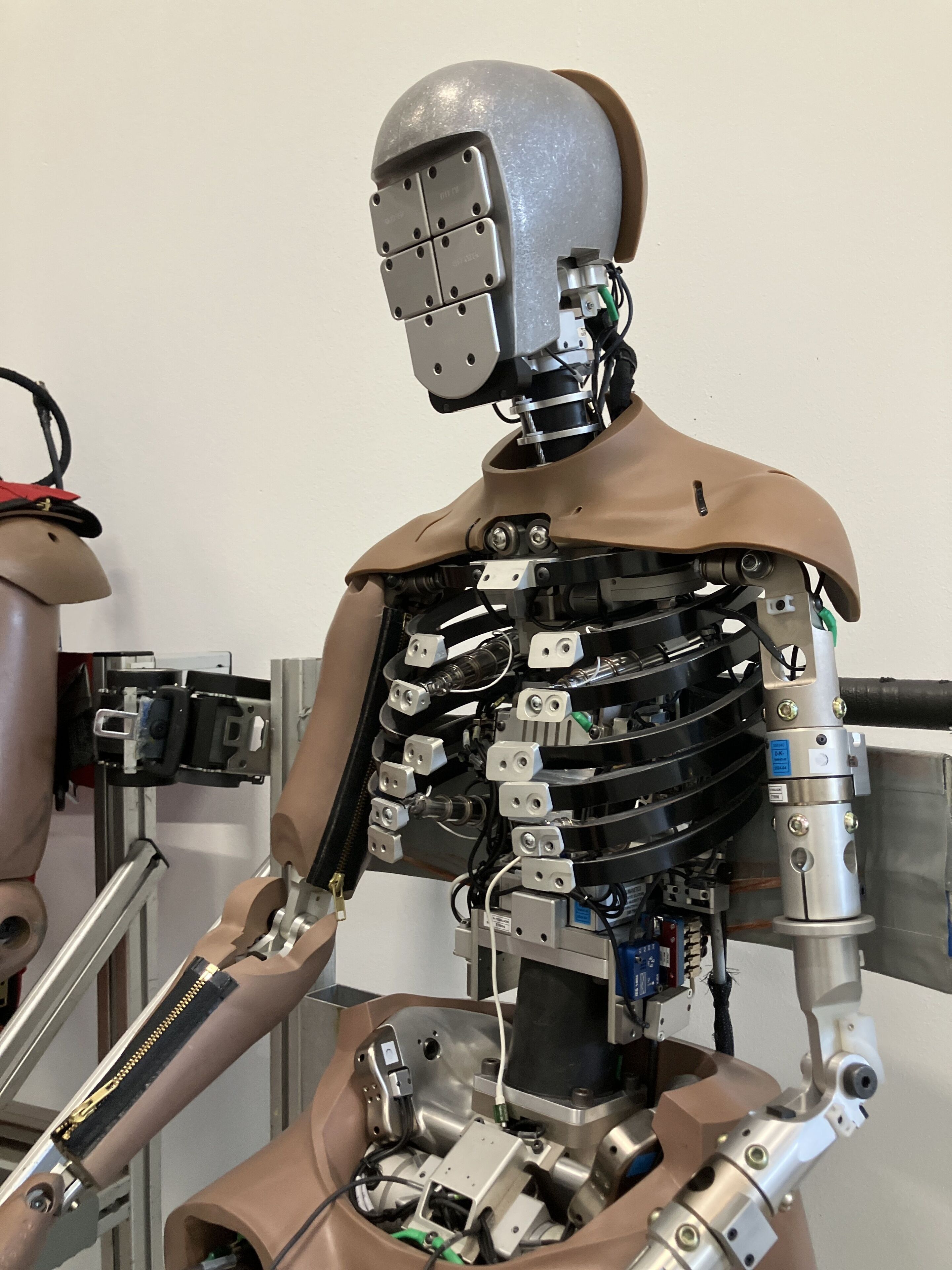 Crash-Test-Dummys im Audi Fahrzeugsicherheitszentrum - Bei den hochentwickelten Thor-Dummys ermitteln bis zu 150 Sensoren während der Versuche relevante Daten