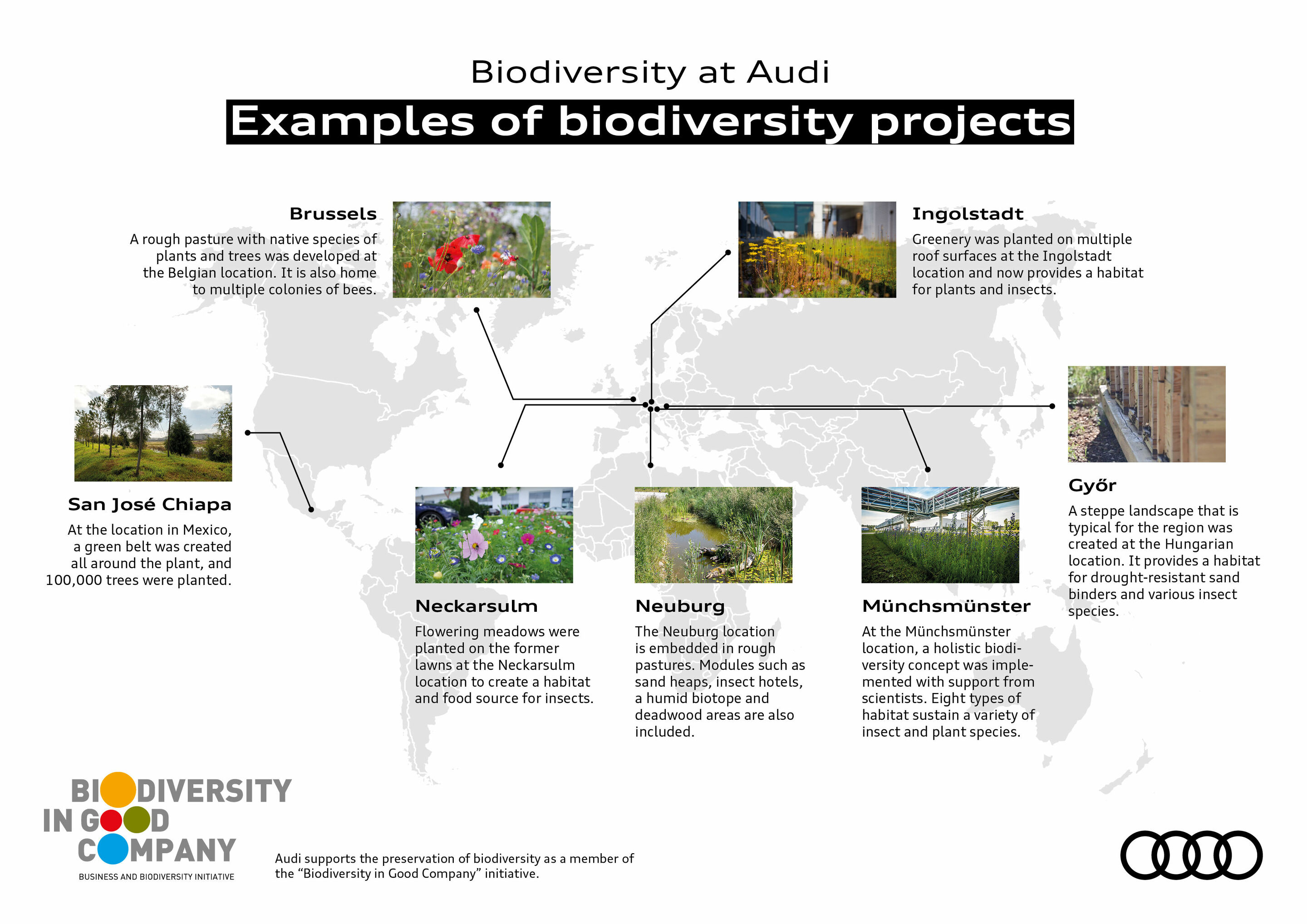 Audi creates near-natural habitat for animals and plants on 17 hectares of the plant site