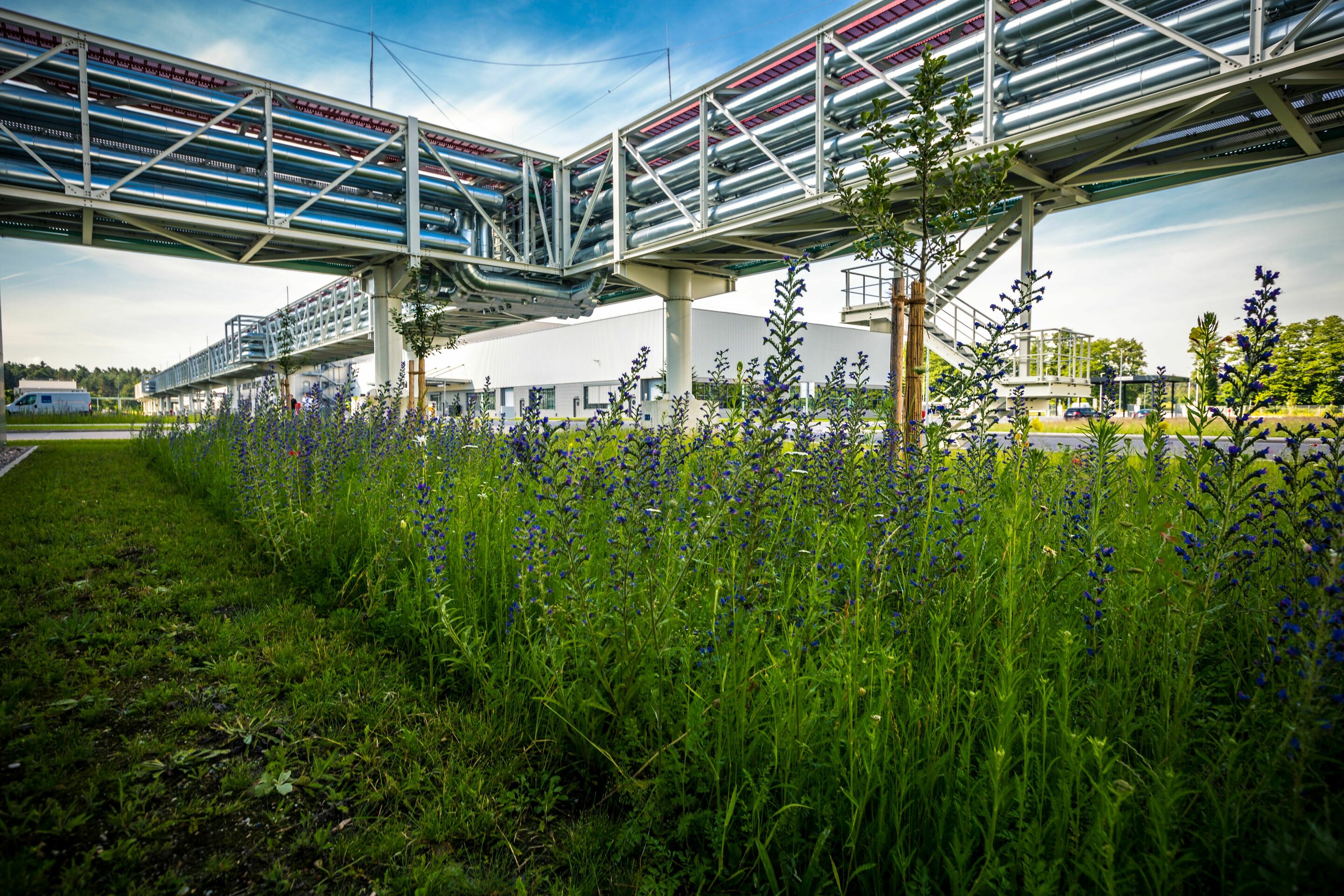 Audi erhält Auszeichnung für Biodiversitätsprojekt am Standort Münchsmünster