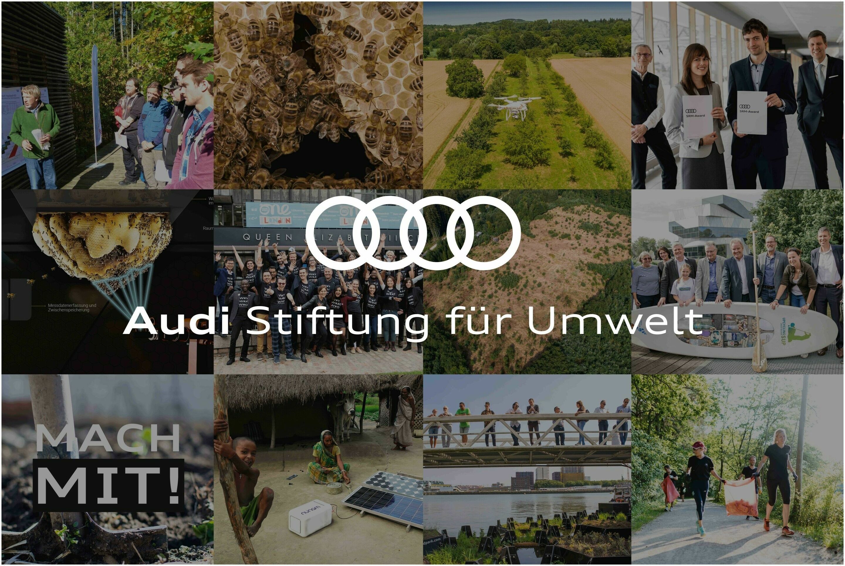 Audi Environmental Foundation