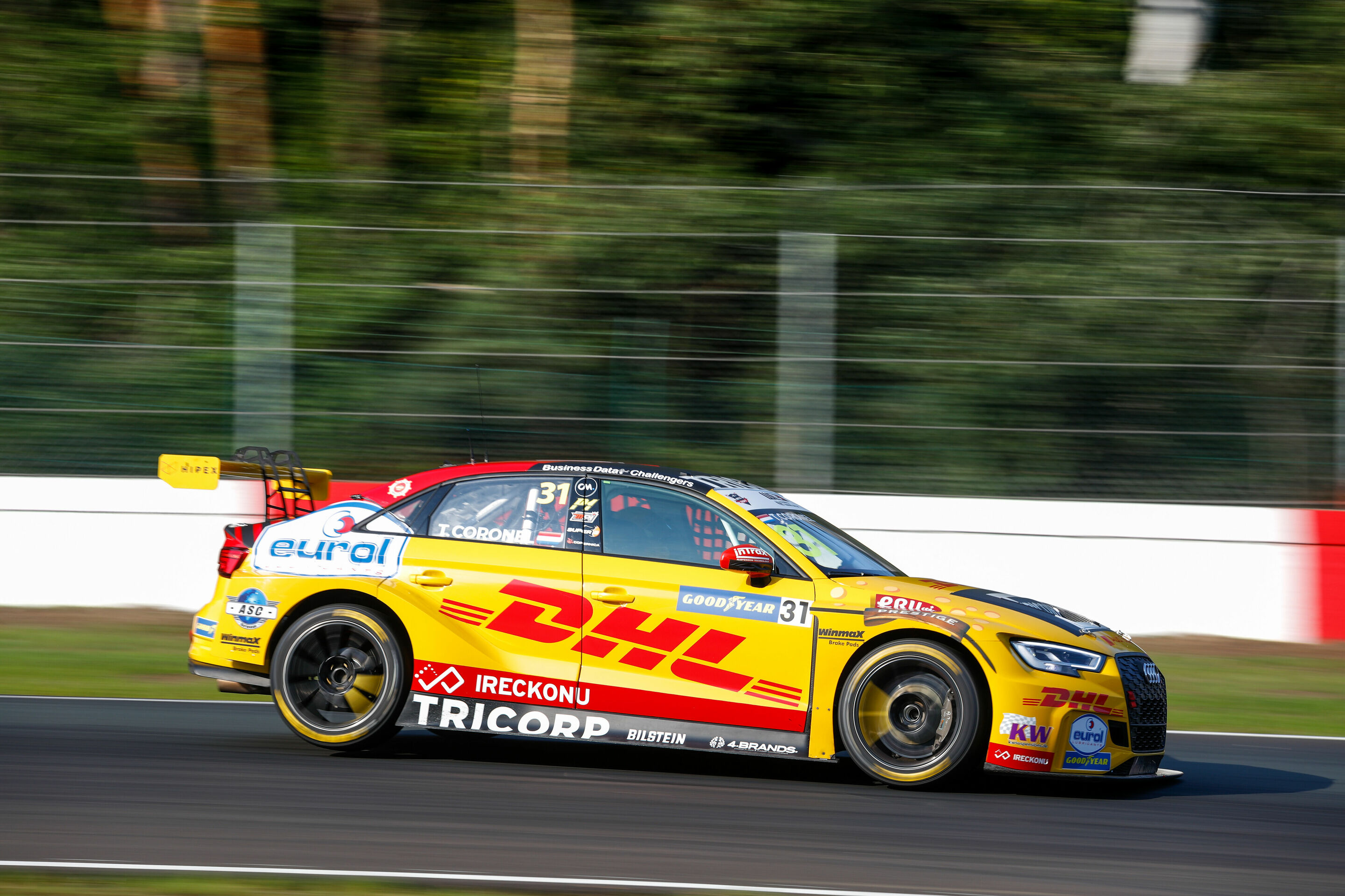 FIA WTCR 2020 - Audi RS 3 LMS #31 (Comtoyou DHL Team Audi Sport), Tom Coronel