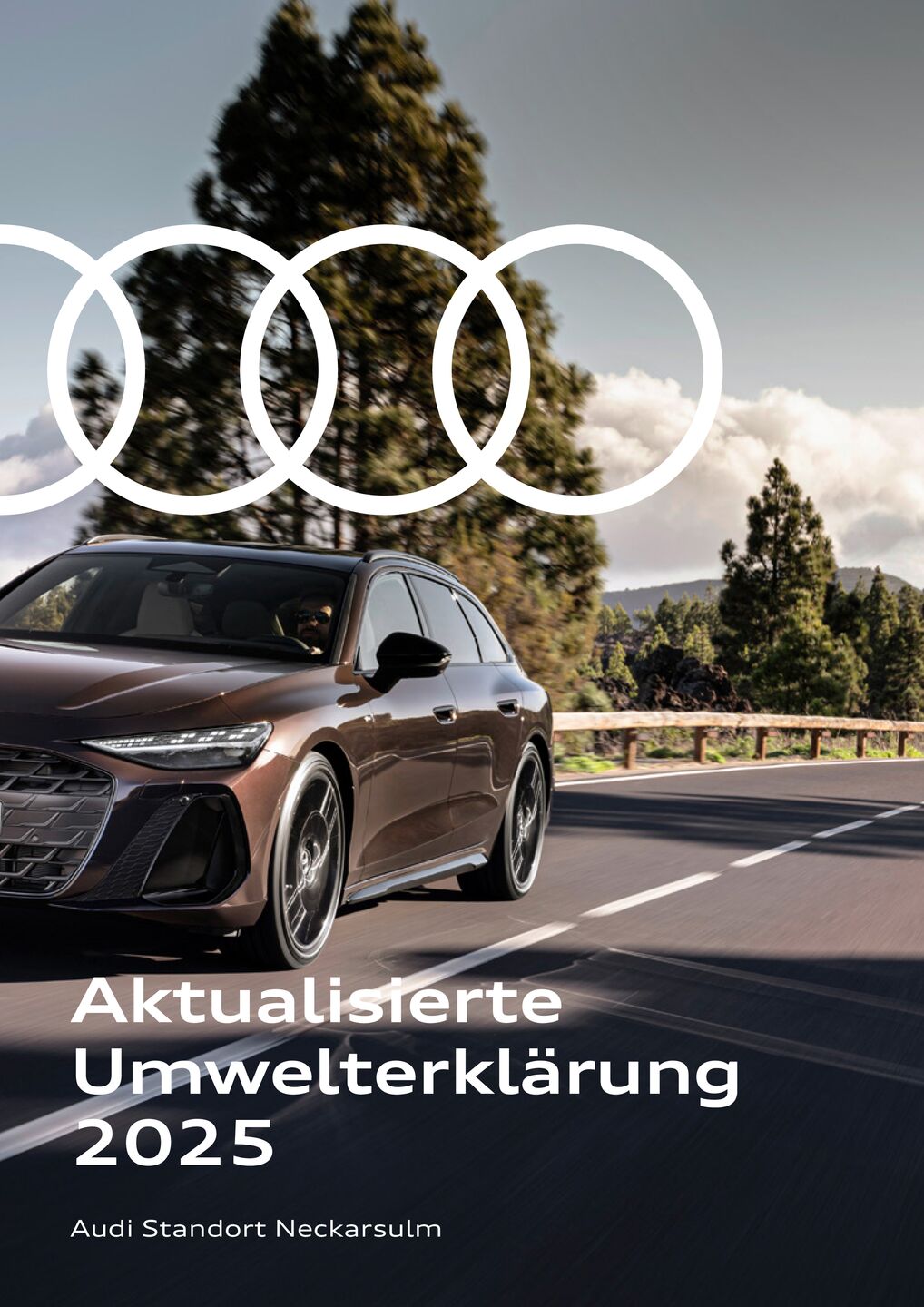 Umwelterklärung Neckarsulm 2025