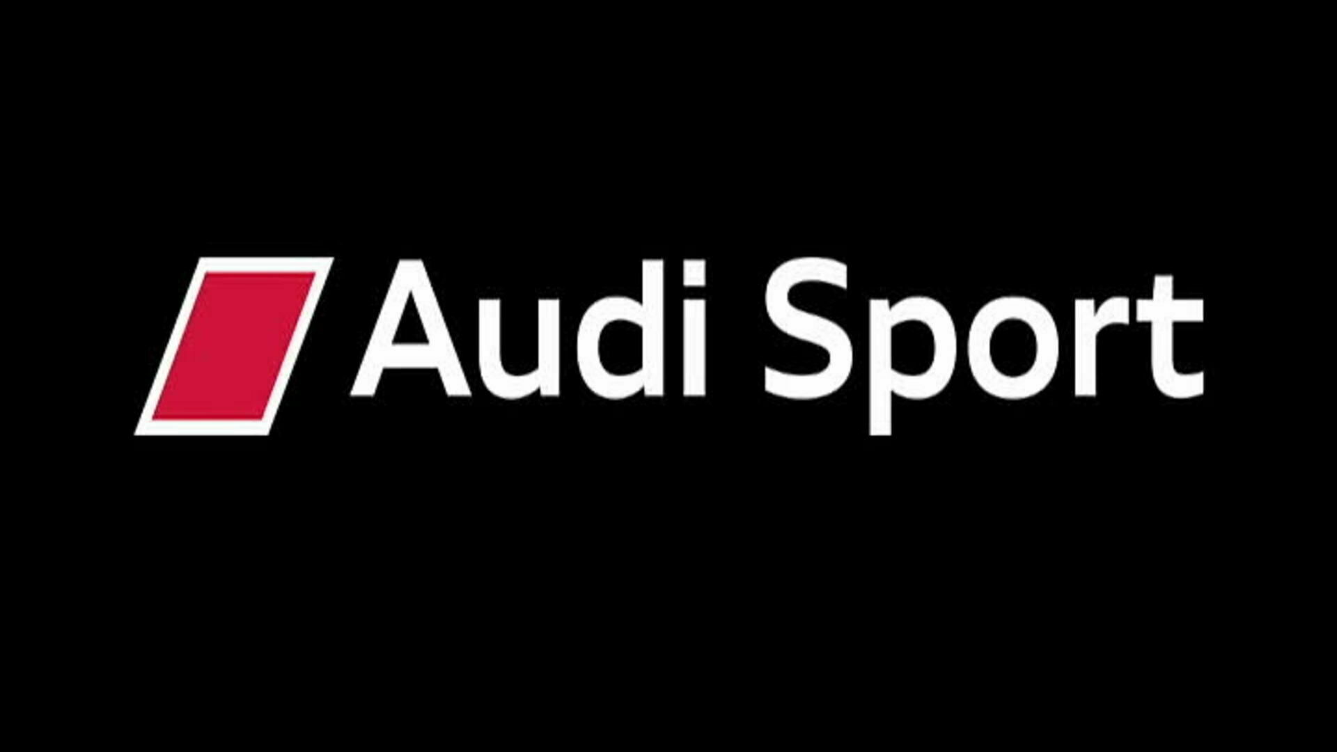 Audi Le Mans Victory 2010