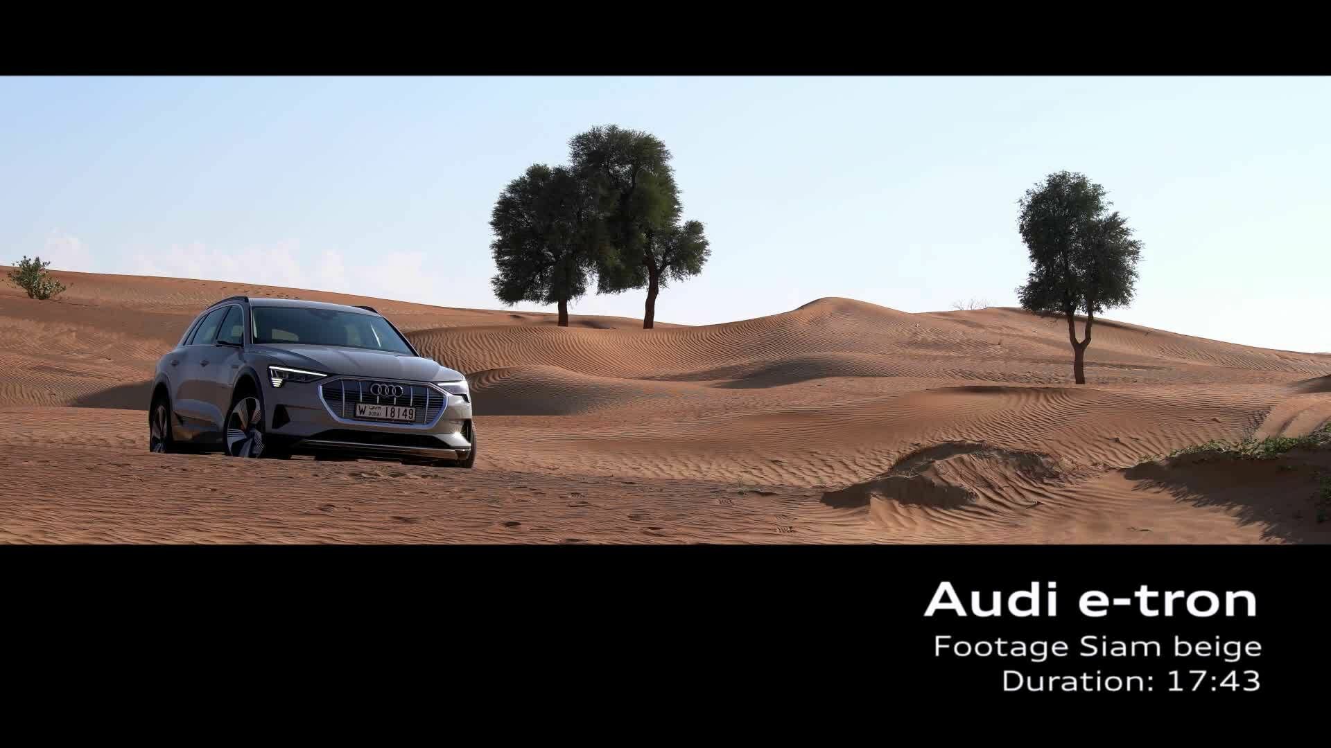 Audi e-tron Siam Beige (Footage)