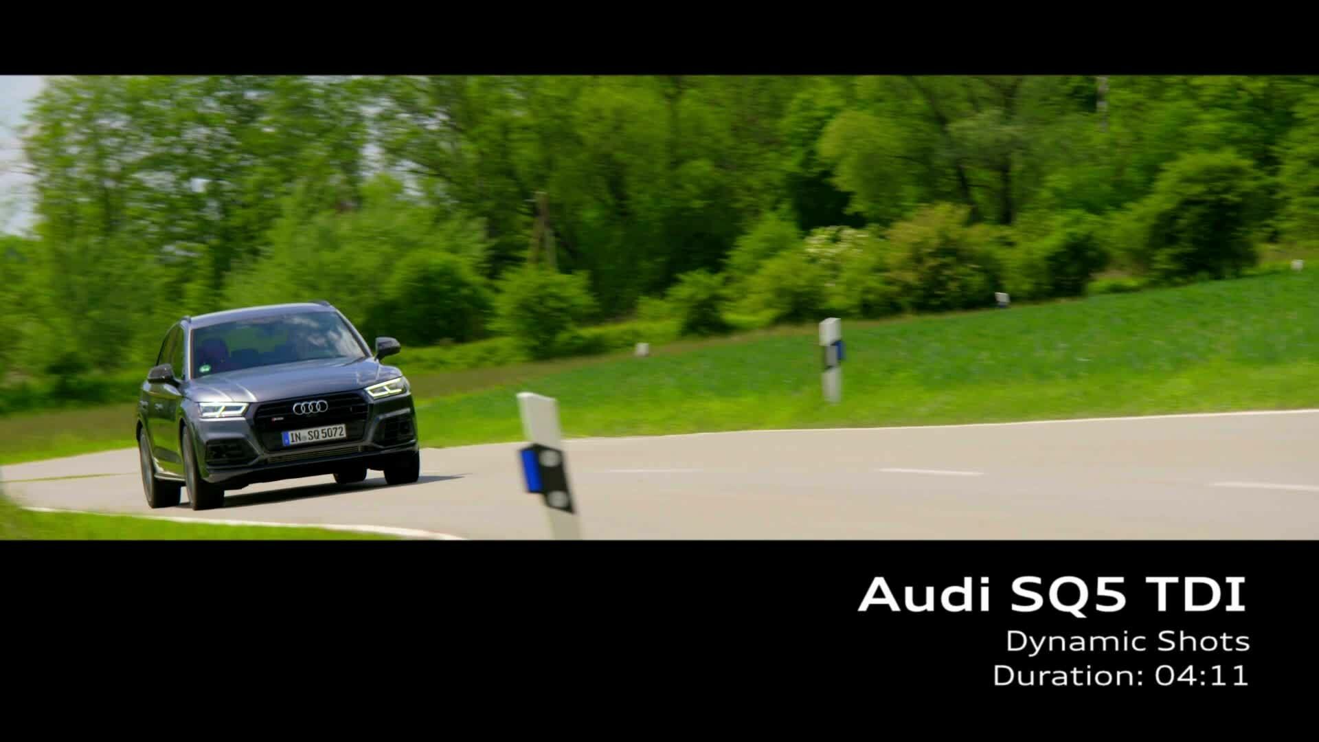 Audi SQ5 TDI (Footage)